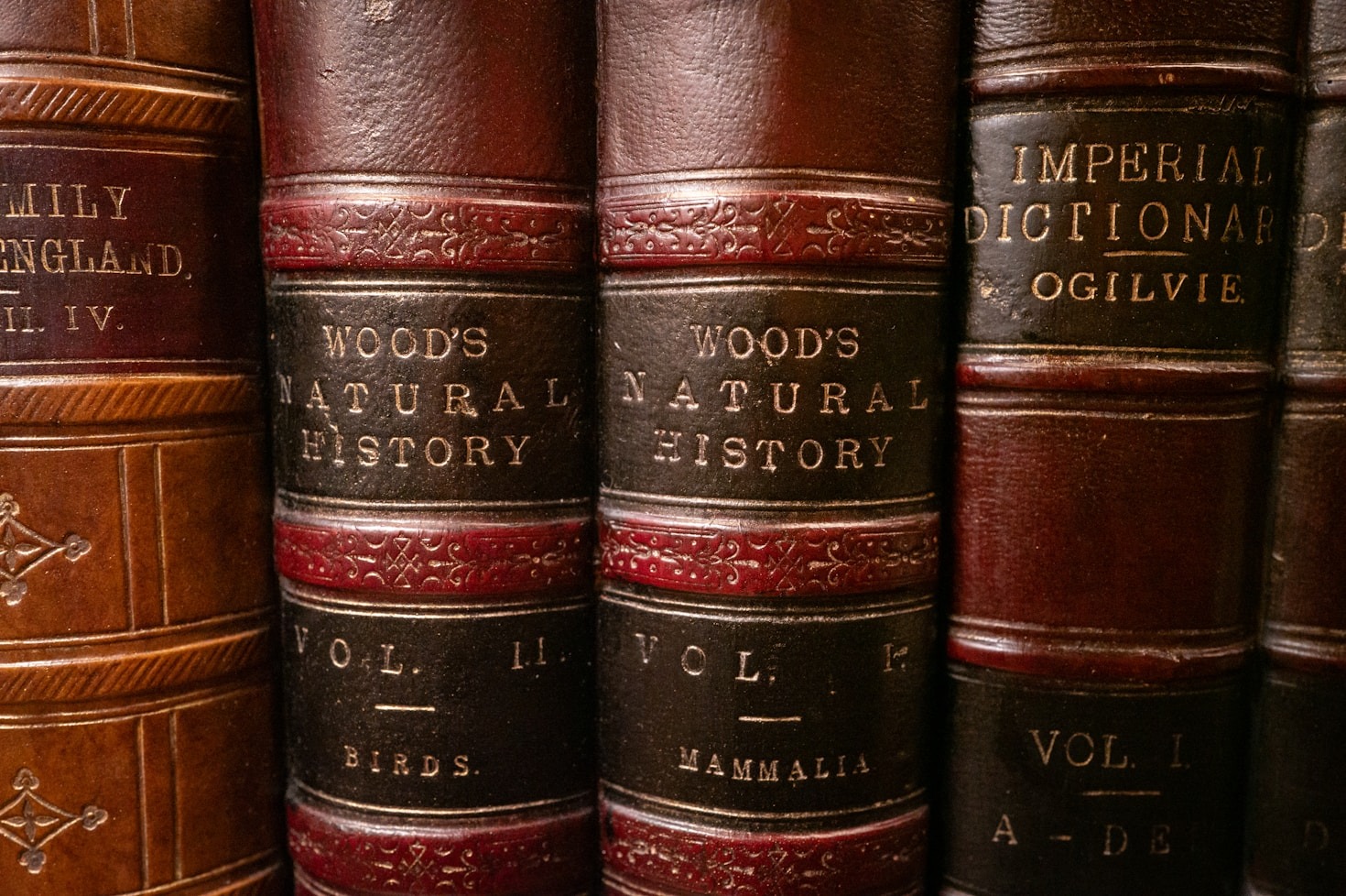 How Ancestrix Library Bridges Past and Present